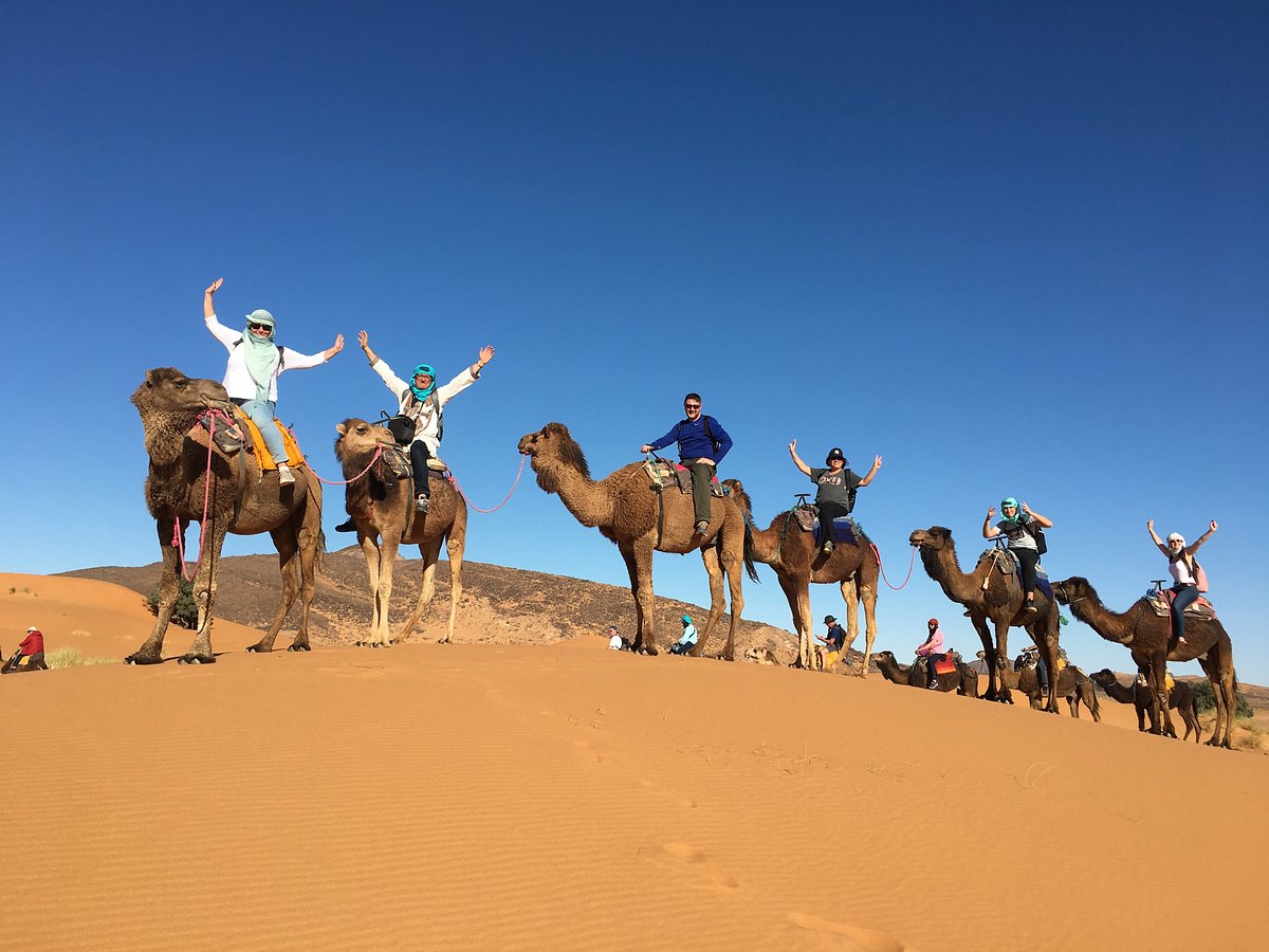 agadir camel tour