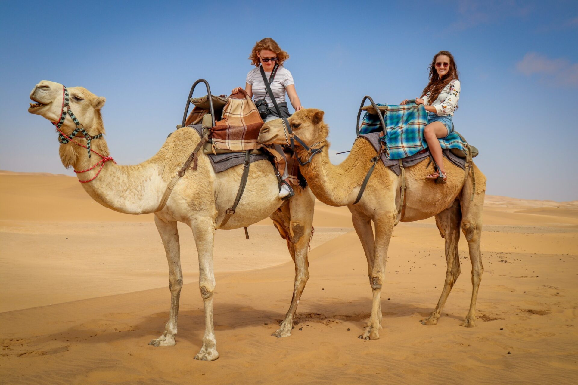 camel ride experience in agadir