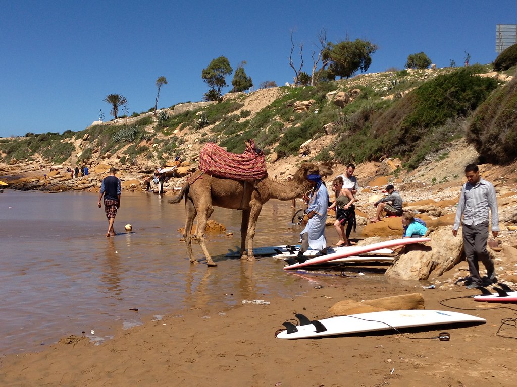 camel ride in taghazoute