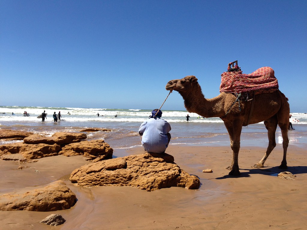 taghazoute camel ride